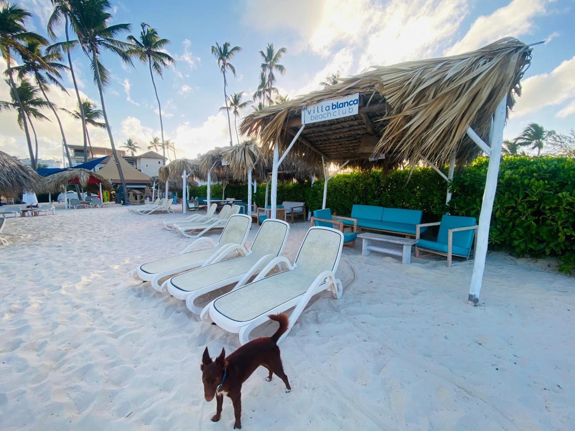 Bavaro Punta Cana Los Corales Beach - Ducassi - Sol Caribe מראה חיצוני תמונה